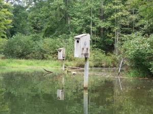 A Couple of the many waterbird houses found around Lake Russell